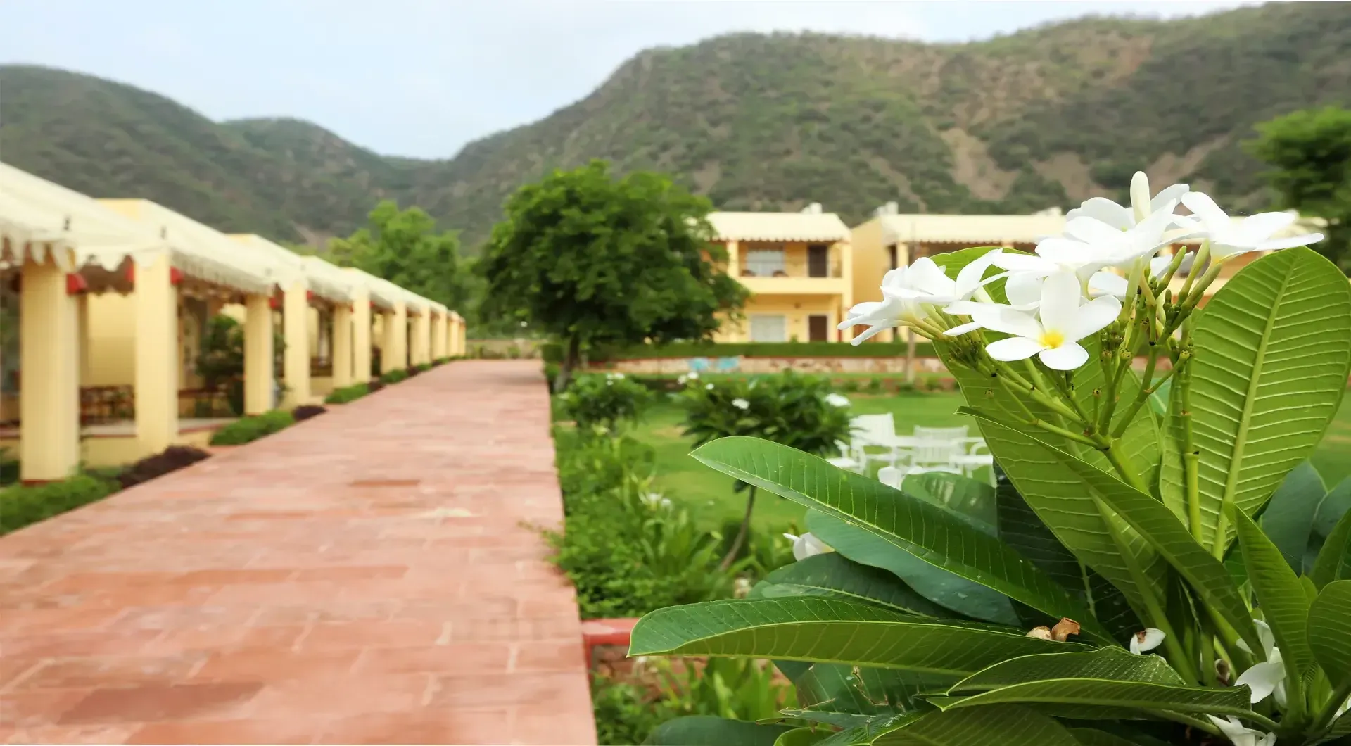 Ratan Villas Sariska Reviews