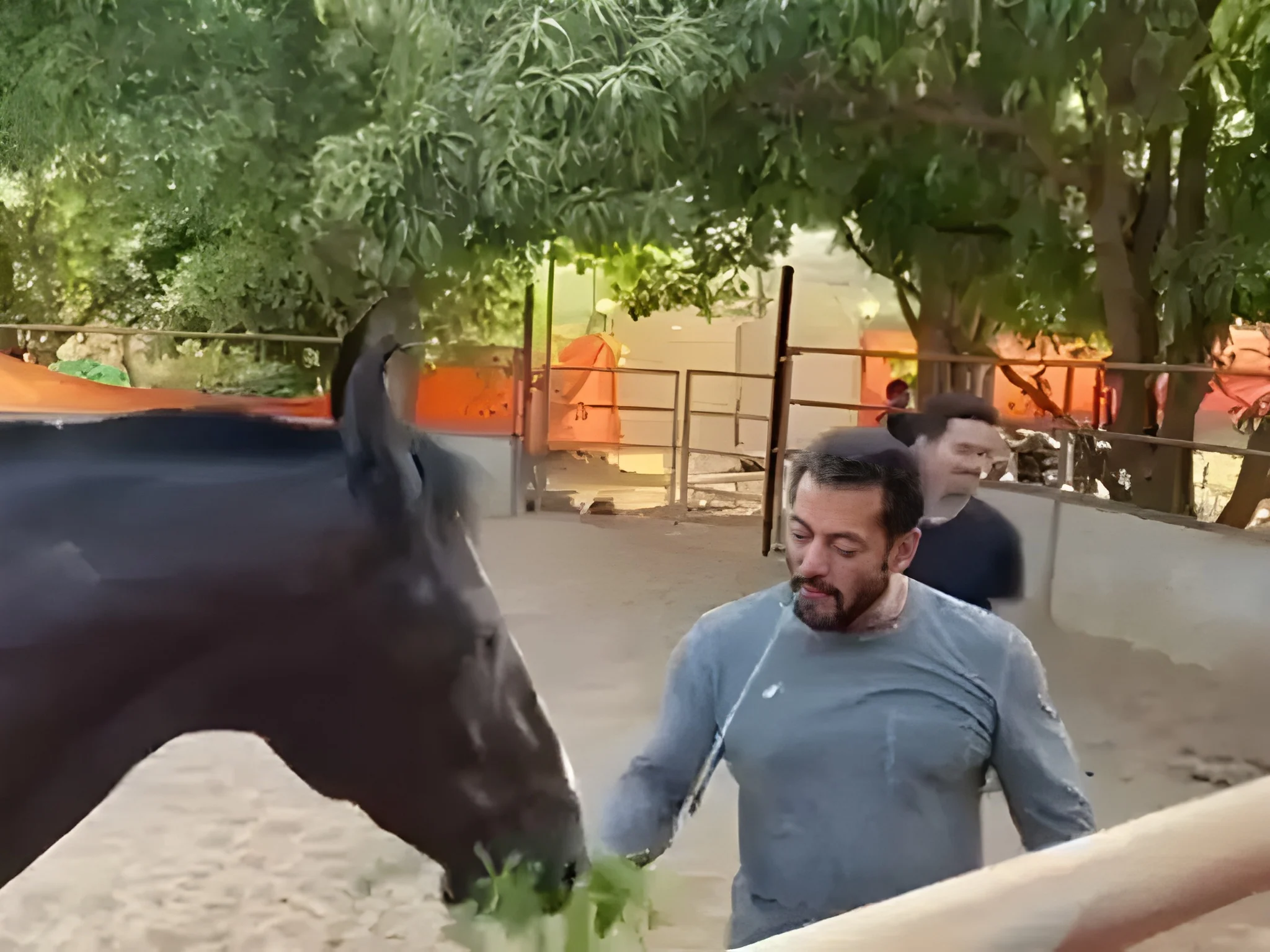 The Horse Stables